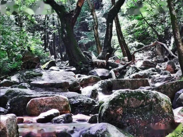 厨房水槽选双槽好还是单槽的好？游戏画面